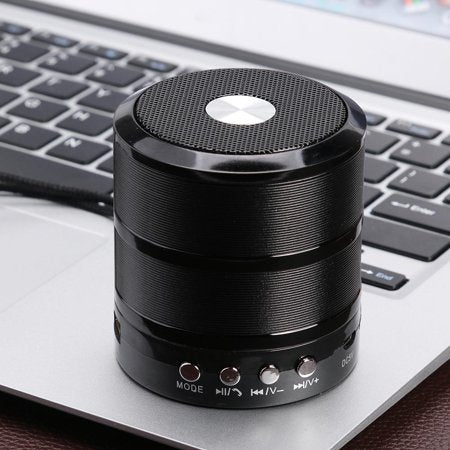 Ws-887 Bluetooth Speaker, Built-in Rechargeable Battery (Connect With All Bluetooth Devices).